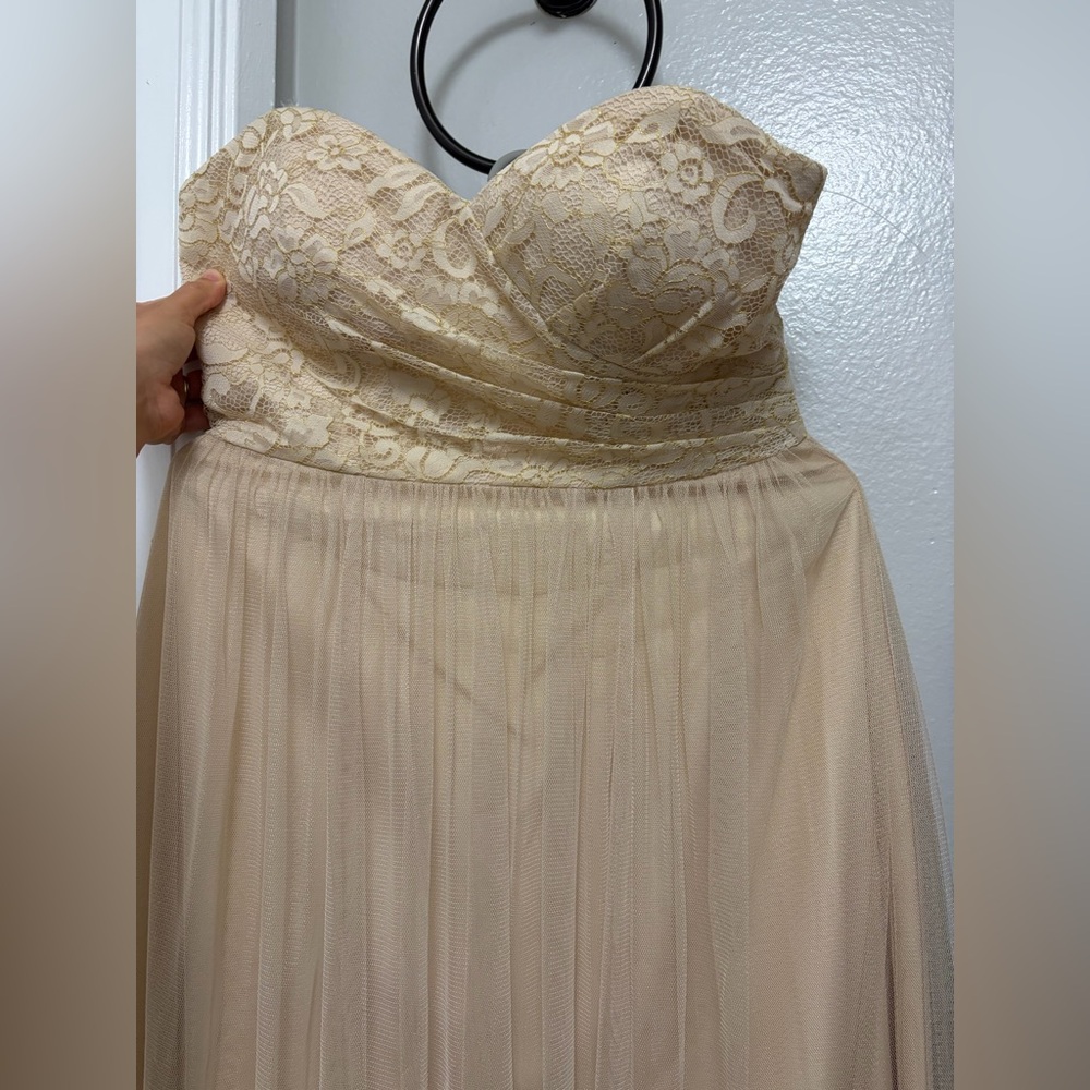 Jenny Yoo Strapless Lace Bodice Tulle Gown in Champagne